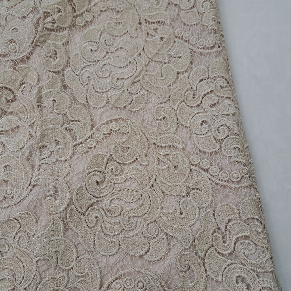 Aidan Mattox Long Formal Chiffon Lace Evening Dress Beige Size 2 - Picture 9 of 13
